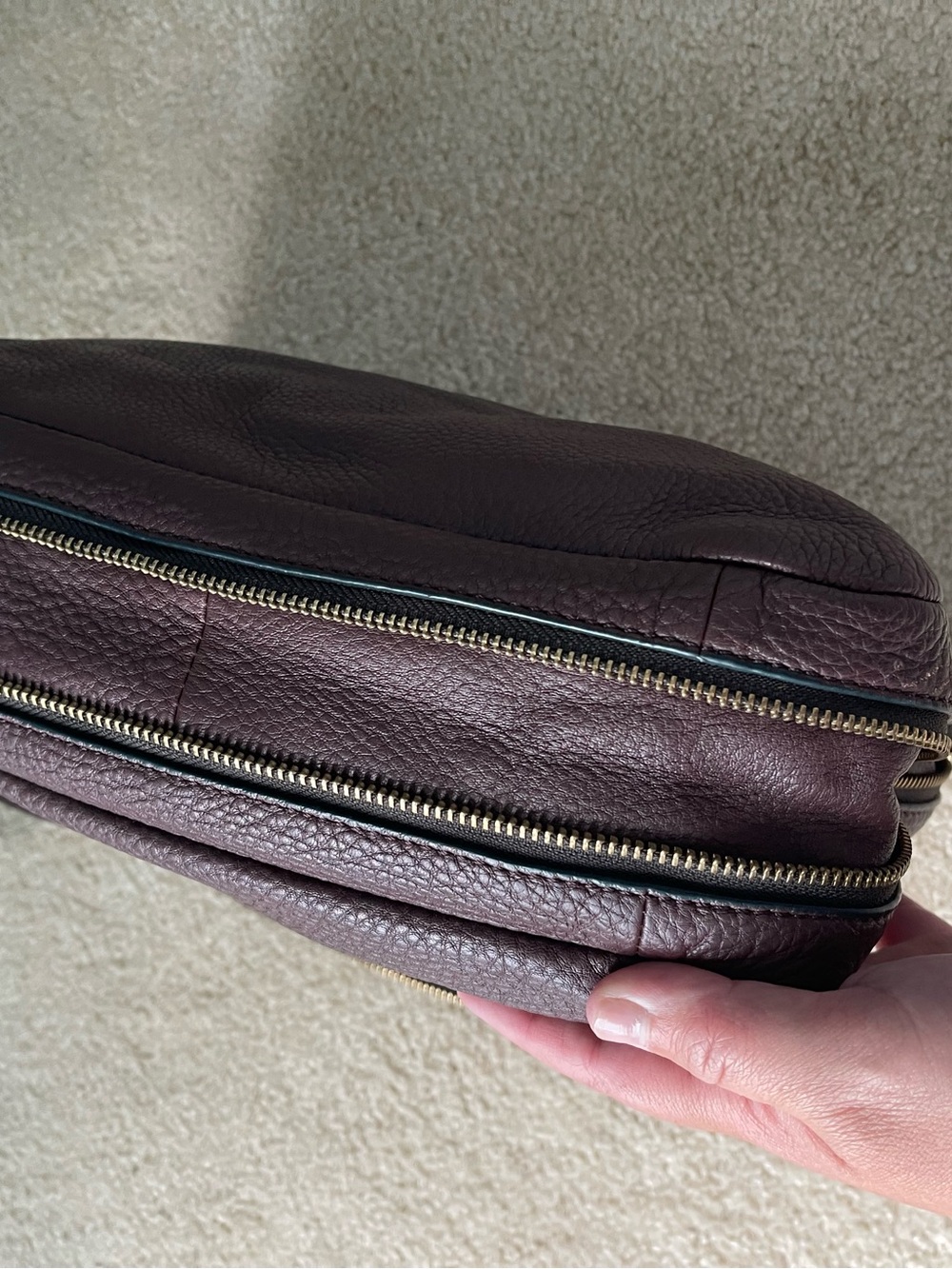 Fossil Pebbled Leather Crossbody in Deep Plum with Gold Hardware - Picture 7 of 7